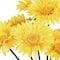 Yellow Gerbera Daisy Bush by Ashland&#xAE;